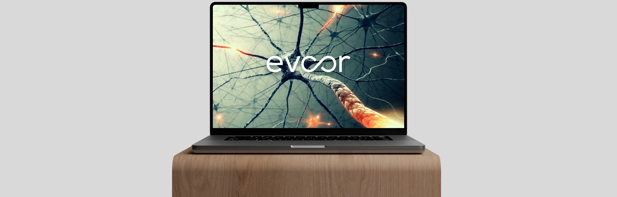 Evoor hero section - Stoere Binken Design)