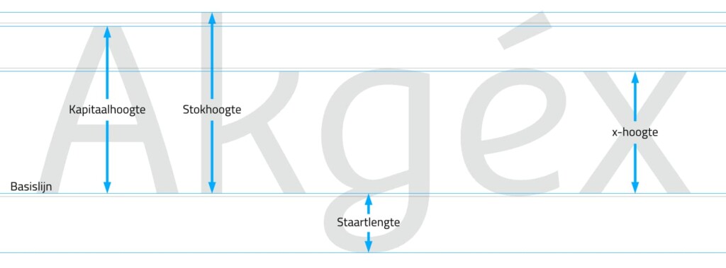 Stoere Binken Design typografie basis grid_medium